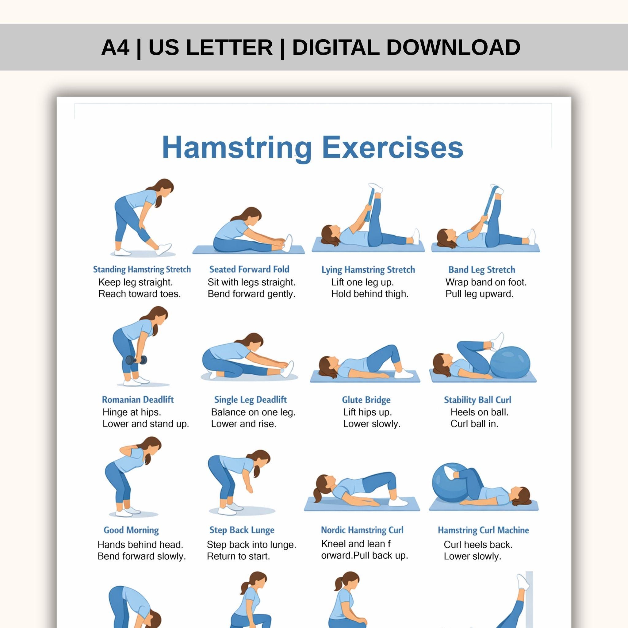 Hamstringing