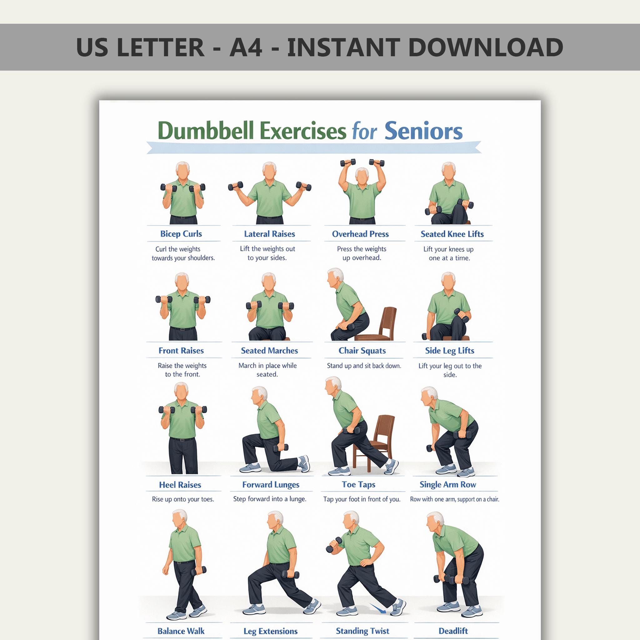 Dumbbell Exercises for Seniors PDF Poster, Seated Chair Dumbbell
