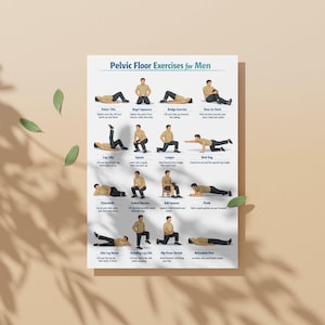 May include: A poster titled "Pelvic Floor Exercises for Men" displays illustrations of various exercises. The poster features a beige background with green leaves and shadows. The exercises include pelvic tilts, kegel squeezes, bridge exercise, and knee to chest.