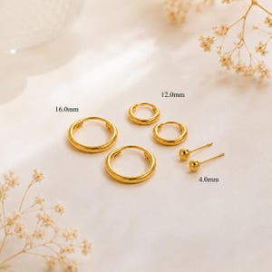 May include: A selection of gold-coloured earrings, including hoop earrings in 16.0mm and 12.0mm sizes, and small stud earrings at 4.0mm. The earrings are displayed on a light-coloured surface with floral accents.