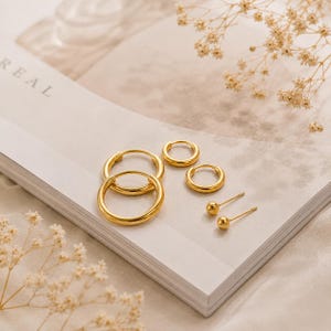 May include: A selection of gold-coloured earrings, including hoop earrings of various sizes and small ball stud earrings. The jewellery is arranged on a white surface, with dried flowers in the background. The earrings are displayed on a book.