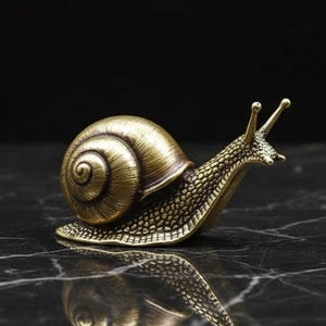 Può includere: Una statuetta di lumaca in bronzo con guscio e corpo dettagliati. La lumaca è posizionata su una superficie nera riflettente, creando un effetto specchio. Le antenne della statuetta sono estese.