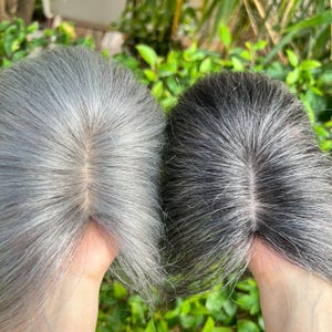 May include: Two gray wigs are held up, showcasing the hair's texture and color variations. One wig is a lighter shade of gray, while the other is a darker, almost charcoal gray. The wigs are displayed against a backdrop of green foliage.
