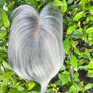 Puede incluir: Un postizo de cabello gris plateado, sobre un lecho de hojas verdes. La pieza capilar presenta una raya de aspecto natural y mechones largos y lisos. El color pasa de raíces más oscuras a puntas más claras.