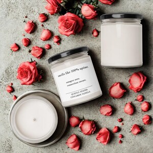 Funny Engineer Gift, Cinnamon Vanilla Soy Candle, Tech Humor, Engineer couple, Valentine