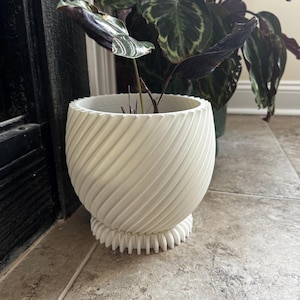 May include: A white, textured, spiral-patterned planter pot with a decorative base, holding a plant with dark green and purple leaves. The pot is on a tiled floor, with another plant visible in the background.