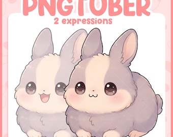 Bunny PNGTuber Model – Cute Chibi Rabbit Avatar for Twitch & Discord (Digital Download)