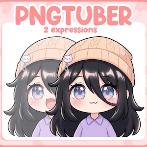 May include: Illustration of a PNGTuber character with two expressions. The character has black hair, blue and pink eyes, and wears a tan beanie with a cat charm. The character is wearing a purple shirt. The text "PNGTUBER" and "2 expressions" are displayed.