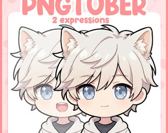 White Haired Cat Boy PNGTuber Avatar – Chibi Anime Streamer Model (Digital Download)