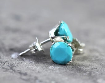 Sunseeker Earrings - Turquoise