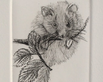 Hand printed cute little mouse. Drypoint Dormouse. Warm black Artist Proof.