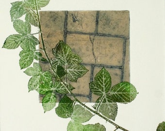 Collograph mono print. Botanical nature, paving stones and bramble. OOAK.