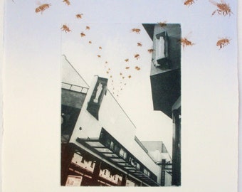 Urban Apiary, City Bees. Photo etching with drypoint. Exeter art. Original printmaking
