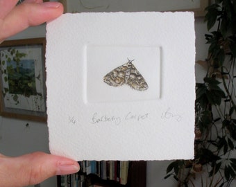 Rare moth. Hand printed and hand tinted mini edition. Barberry Carpet Moth.