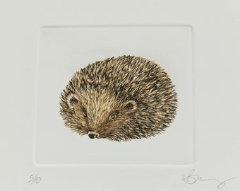 Hedgehog. Hand printed drypoint and hand tinted with watercolour