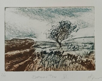 Dartmoor Tree VI