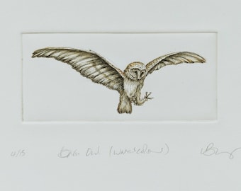 Barn Owl limited edition drypoint print individually hand tinted with watercolour