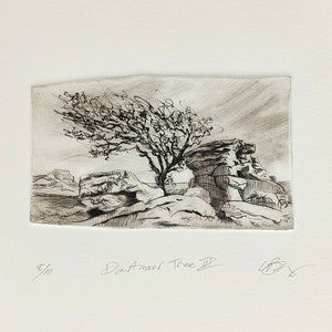 Dartmoor Tree. Vintage style. image 1