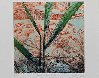 Copper Etching. Reed Bed and rust. Hand printed Limited edition.