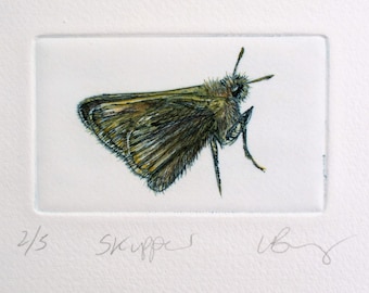 Hand-tinted skipper drypoint print