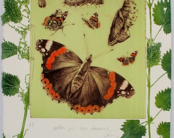 Nettles for Butterflies. Red Admiral Etching.