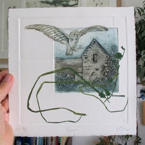 Barn Owl with Devon Barn. Collagraph, drypoint and monoprint image 9