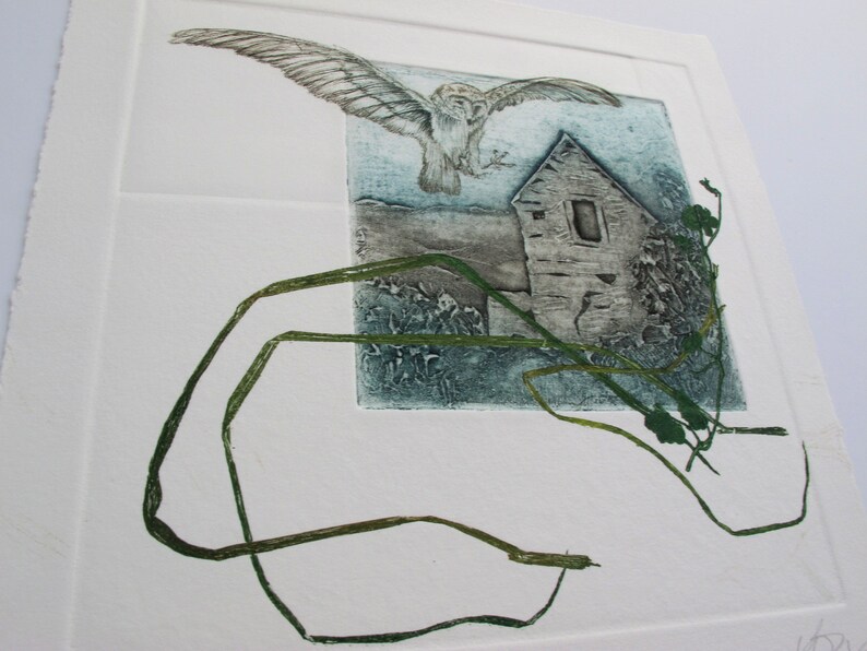 Barn Owl with Devon Barn. Collagraph, drypoint and monoprint image 5