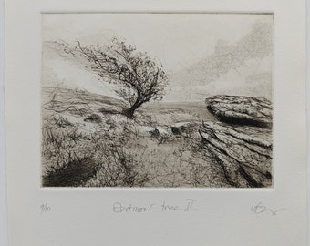 Arbre du Dartmoor balayé par le vent. Édition limitée. Imprimé à la main
