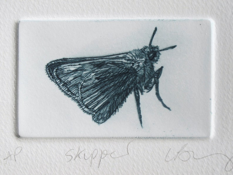 Drypoint butterfly print. Cute little Skipper. Hand printed Artist Proof. image 1