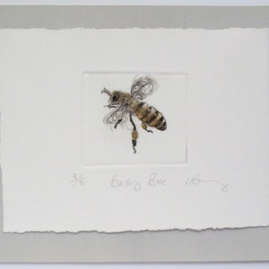 Busy little honey bee. Limited edition drypoint image 1