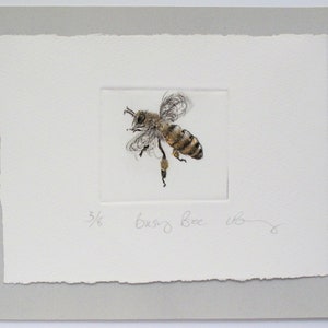 May include: A black and white drawing of a bee with the text "3/6 Busy Bee 1/6" in the bottom right corner.