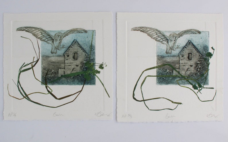 Barn Owl with Devon Barn. Collagraph, drypoint and monoprint image 10