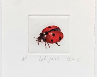 Ladybug print. Seven Spot Ladybird hand tinted drypoint print.