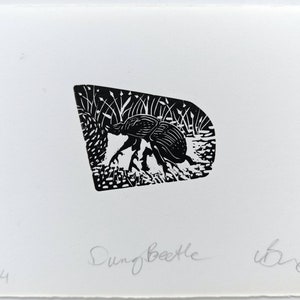 Puede incluir: Impresión en blanco y negro de un escarabajo pelotero en un campo de hierba. La impresión está titulada "Dung Beetle" y firmada "WBR" con el número "2/14" en la esquina inferior izquierda.