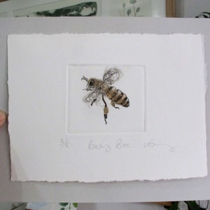Busy little honey bee. Limited edition drypoint image 9