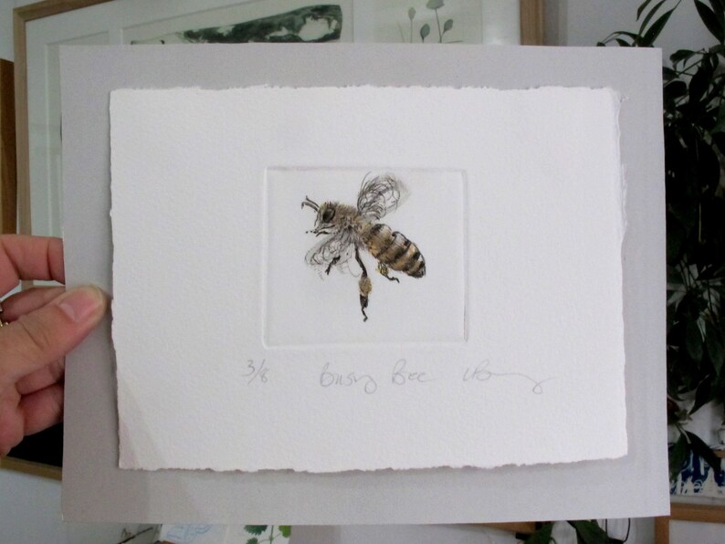 Busy little honey bee. Limited edition drypoint image 9