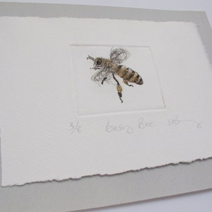 Busy little honey bee. Limited edition drypoint image 6