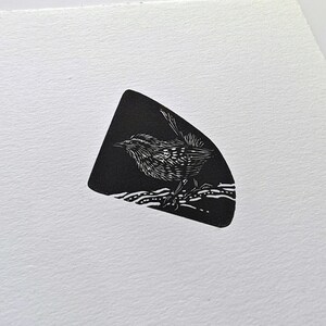 Little Wren Wood Engraing. Original print. Small bird image 6