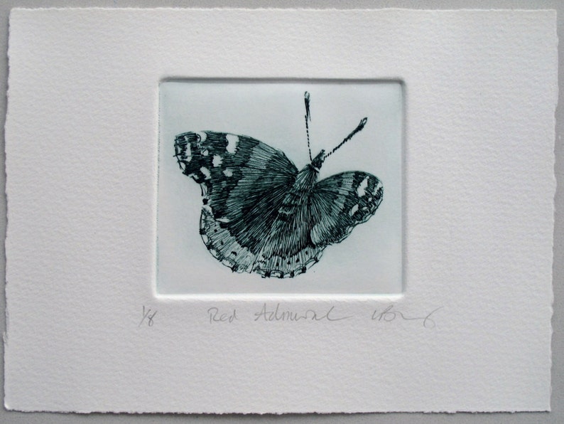 Red Admiral Butterfly Print. Fine Art Drypoint | Etsy