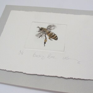 Busy little honey bee. Limited edition drypoint image 5