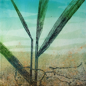 Copper plate Etching. Fine art. Reeds and rusty soil. Limited variable edition. image 1