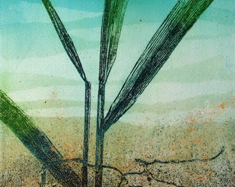 Copper plate Etching. Fine art. Reeds and rusty soil. Limited variable edition.