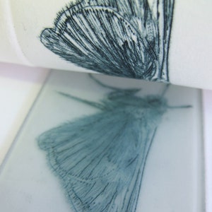 Drypoint butterfly print. Cute little Skipper. Hand printed Artist Proof. image 4