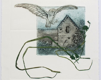 Barn Owl with Devon Barn. Collagraph, drypoint and monoprint