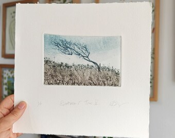 Windswept Dartmoor Tree