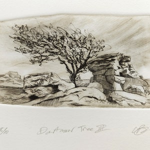 Dartmoor Tree. Vintage style. image 4