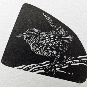 Little Wren Wood Engraing. Original print. Small bird image 4