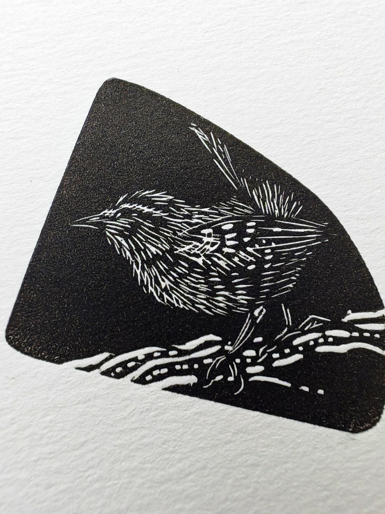 Little Wren Wood Engraing. Original print. Small bird image 4