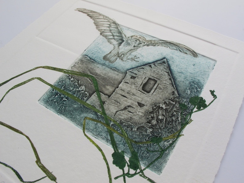Barn Owl with Devon Barn. Collagraph, drypoint and monoprint image 8