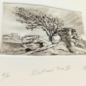 Dartmoor Tree. Vintage style. image 5